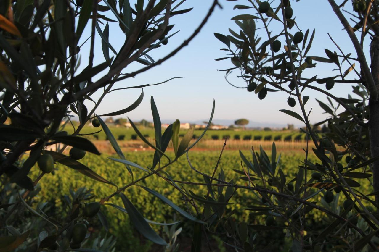 Agrihotel Elisabetta Collemezzano Luaran gambar