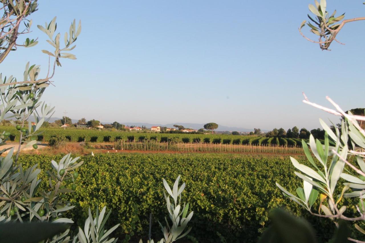 Agrihotel Elisabetta Collemezzano Luaran gambar